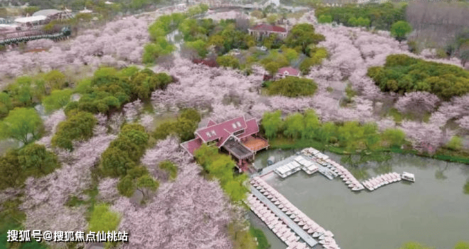 时代乐章】正在认购中！约89-126m²3房精装修交付麻将胡了2模拟器380万级必看！7号线TOD红盘【招商(图2)